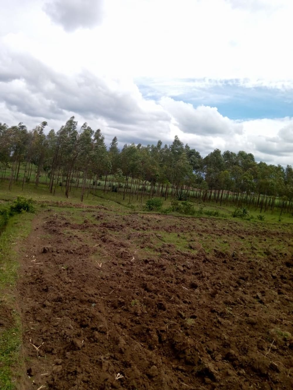 Land for rent in Muji, Webuye East