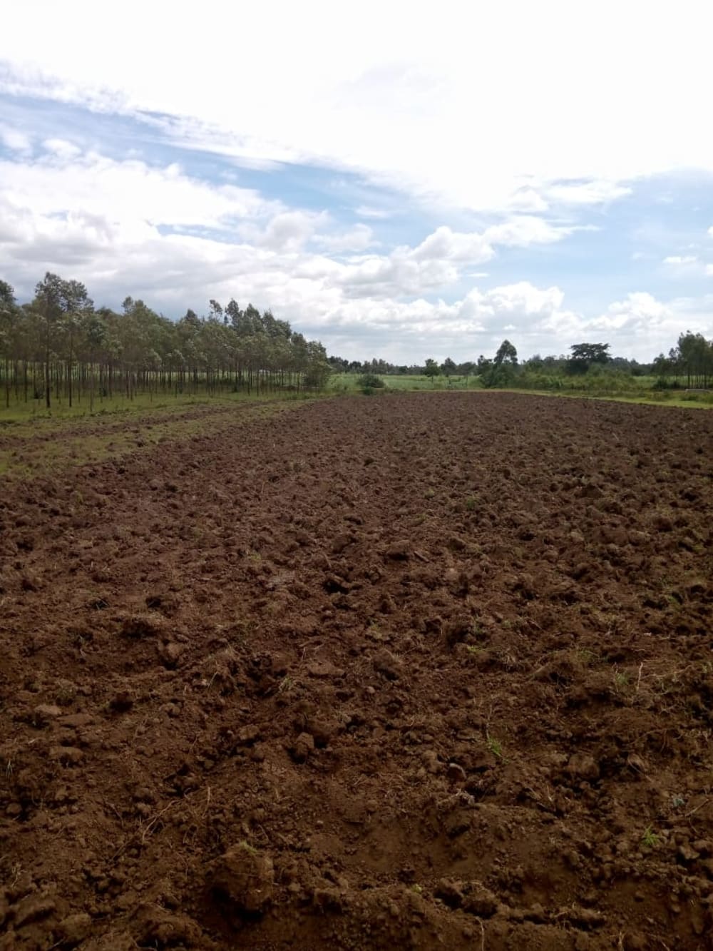 Land for rent in Muji, Webuye East