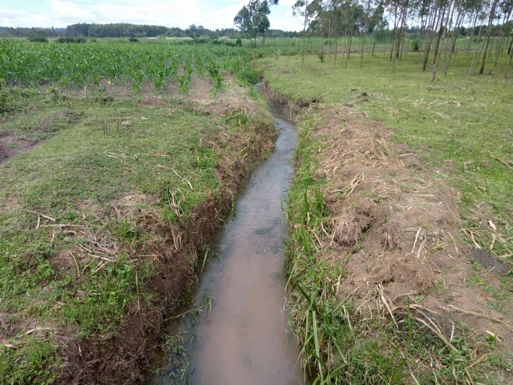 Land for rent in Muji, Webuye East