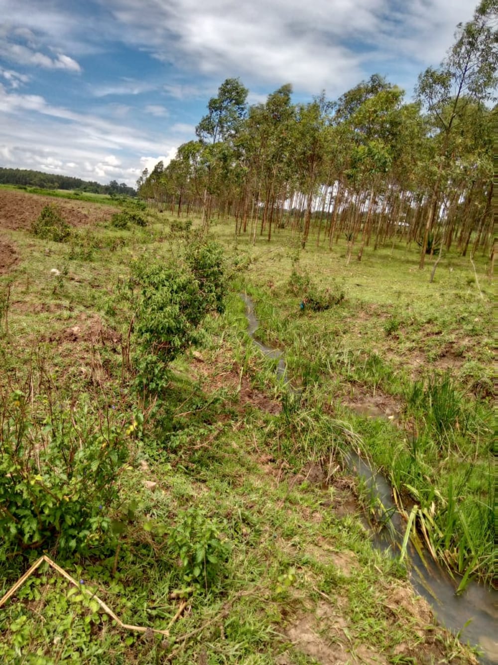 Land for rent in Muji, Webuye East