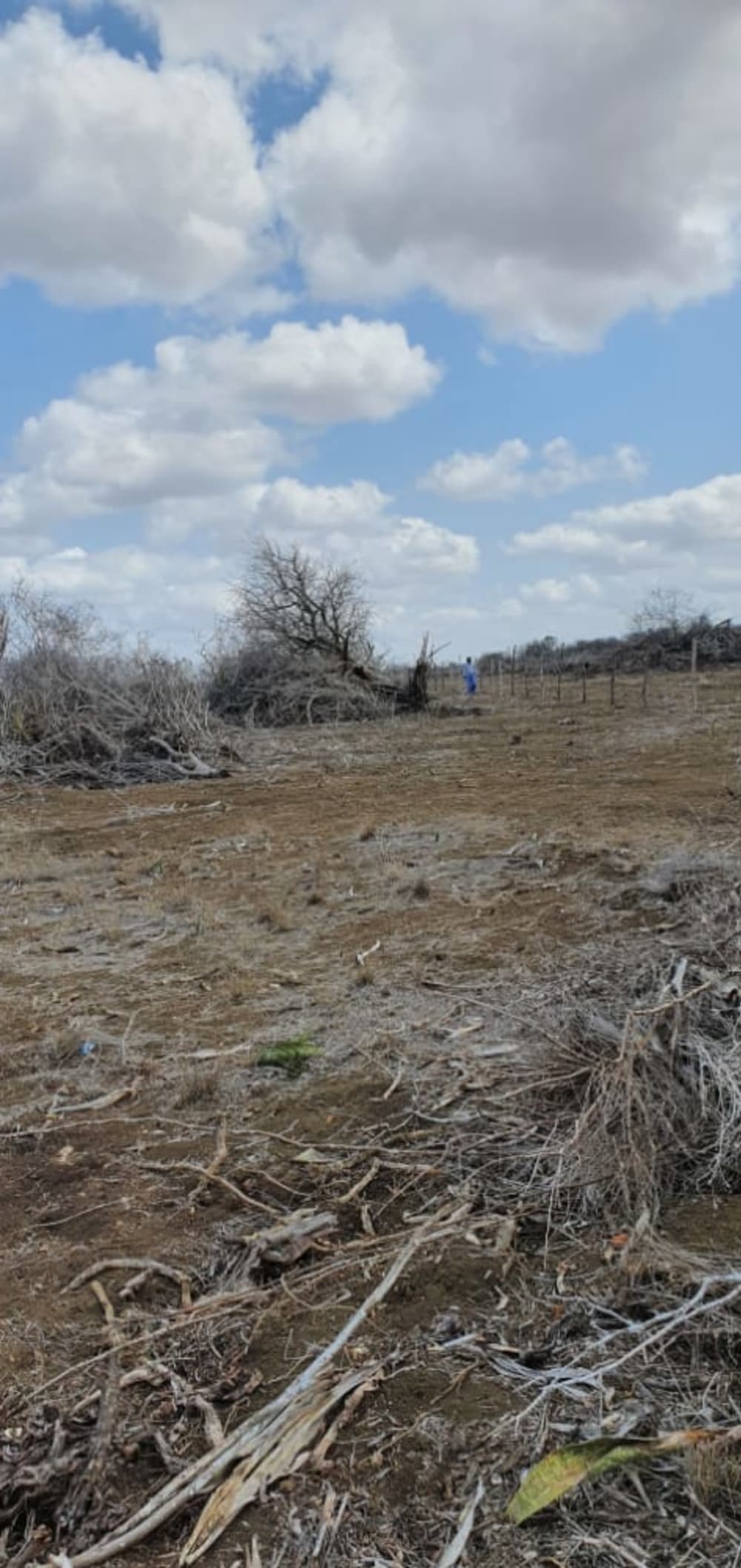 Land for sale in chakama