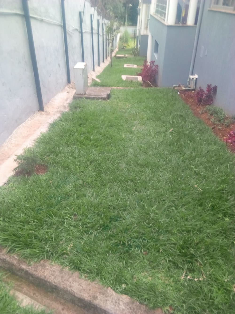 5 bedroom Townhouse for rent in Parklands, Nairobi