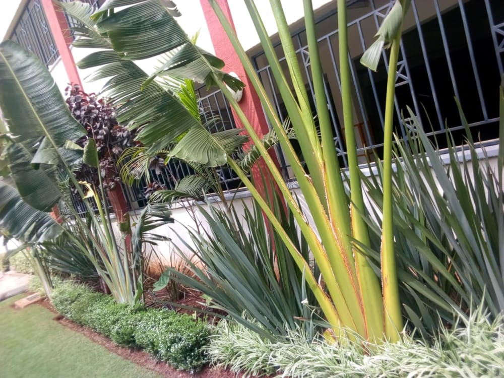 3 bedroom Apartment for sale in Parklands, Nairobi