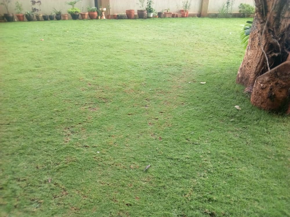 3 bedroom Apartment for sale in Parklands, Nairobi