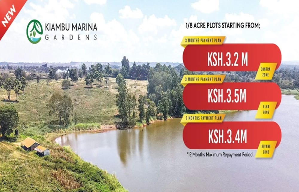 Land for sale in Tatu City