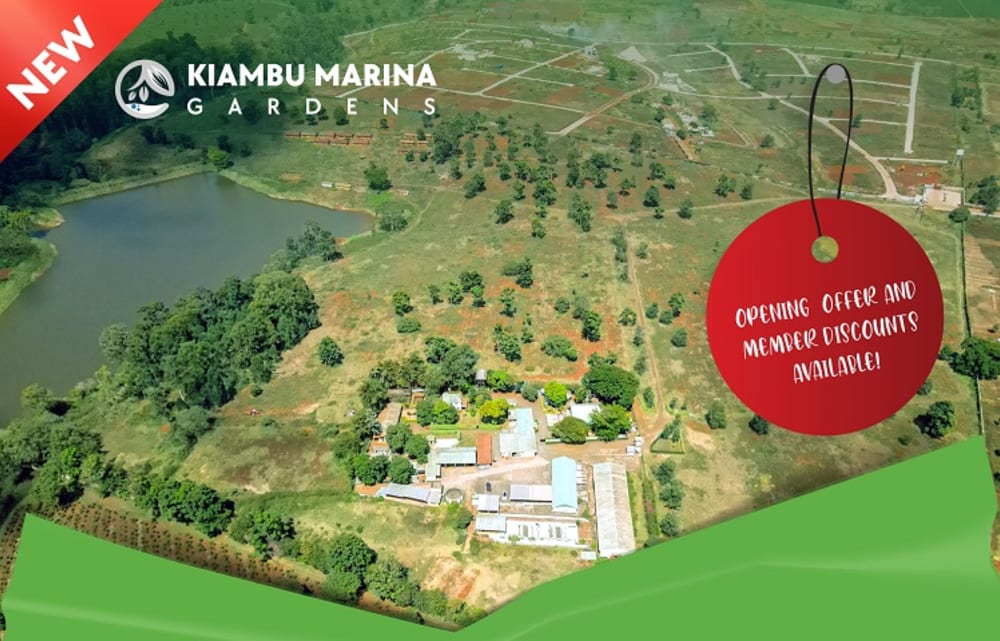 Land for sale in Tatu City