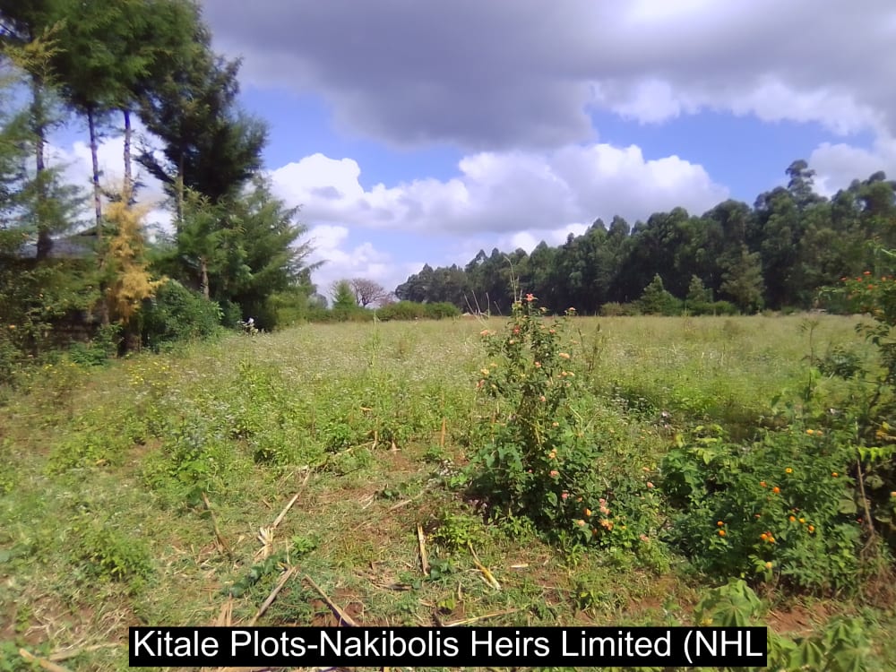 Land for sale in Kwanza