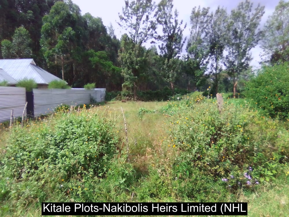 Land for sale in Kwanza