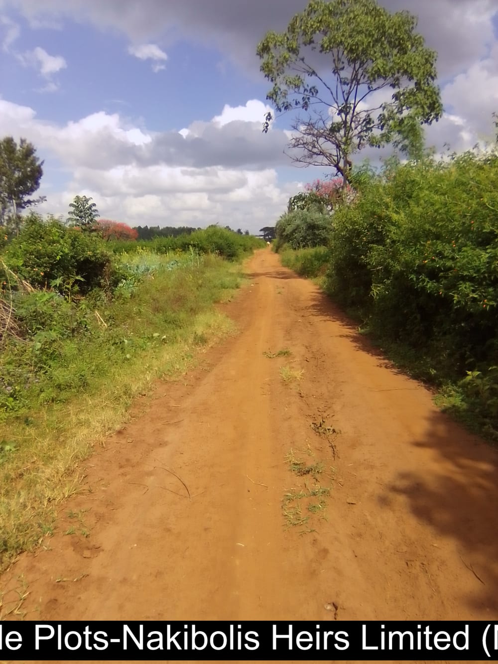 Land for sale in Kwanza