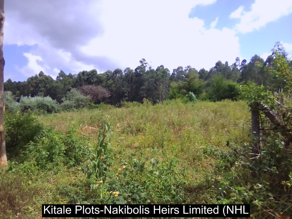 Land for sale in Kwanza