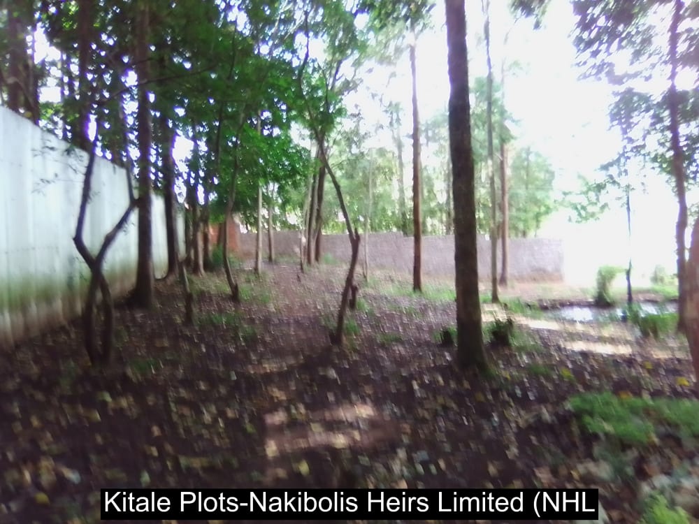 Land for sale in Kwanza