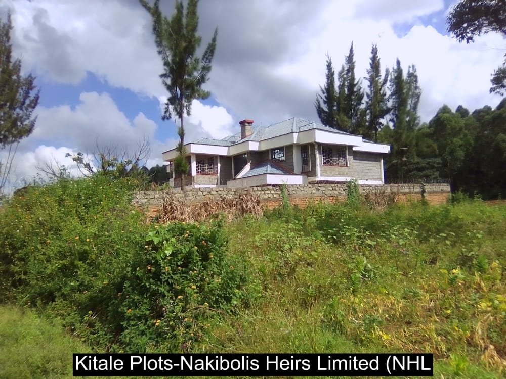 Land for sale in Endebess