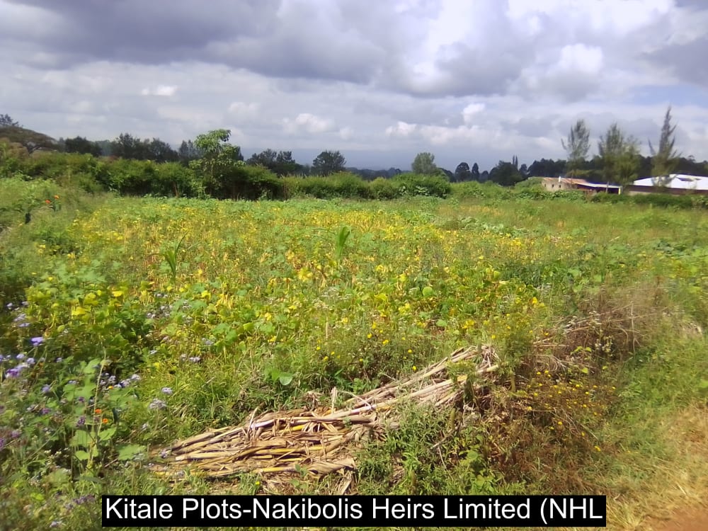 Land for sale in Endebess