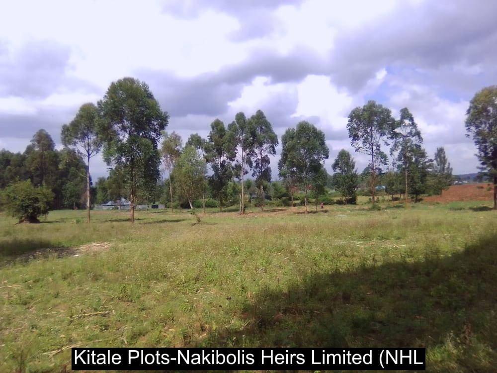 Land for sale in Kwanza