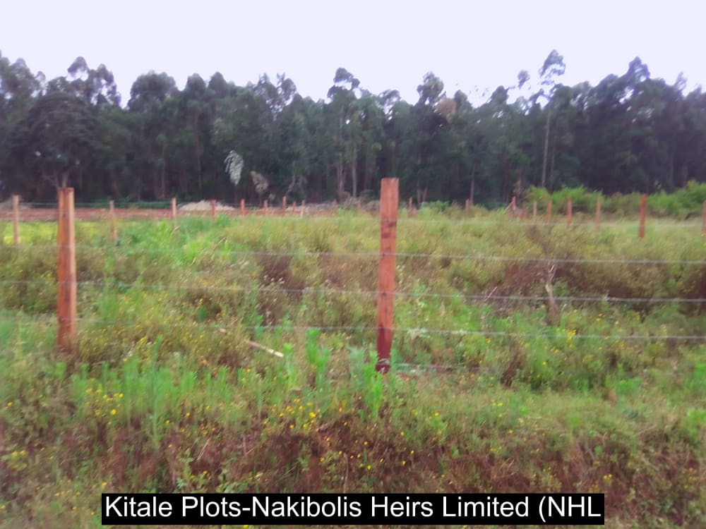 Land for sale in Cherangany