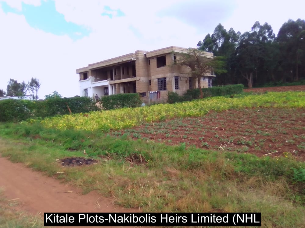 Land for sale in Cherangany