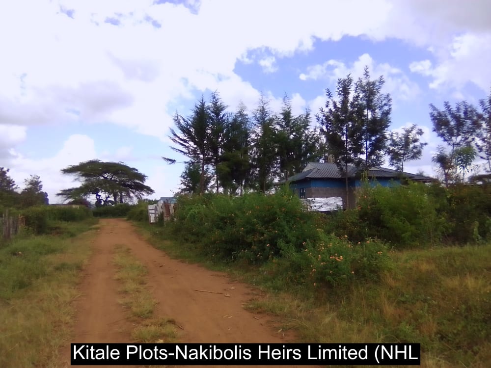 Land for sale in Cherangany