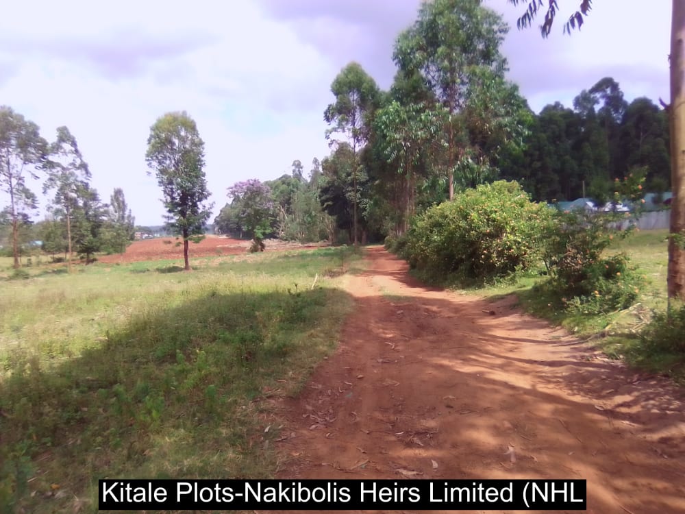 Land for sale in Kwanza
