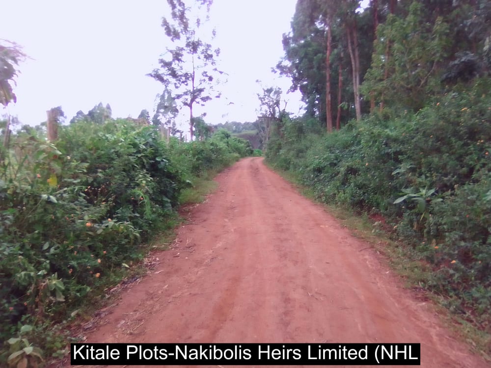 Land for sale in Cherangany