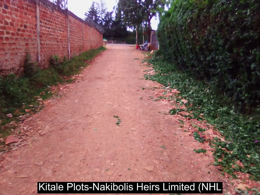 Land for sale in Cherangany