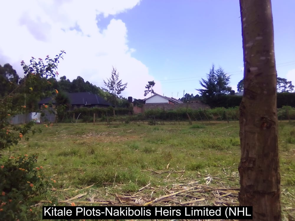 Land for sale in Kwanza