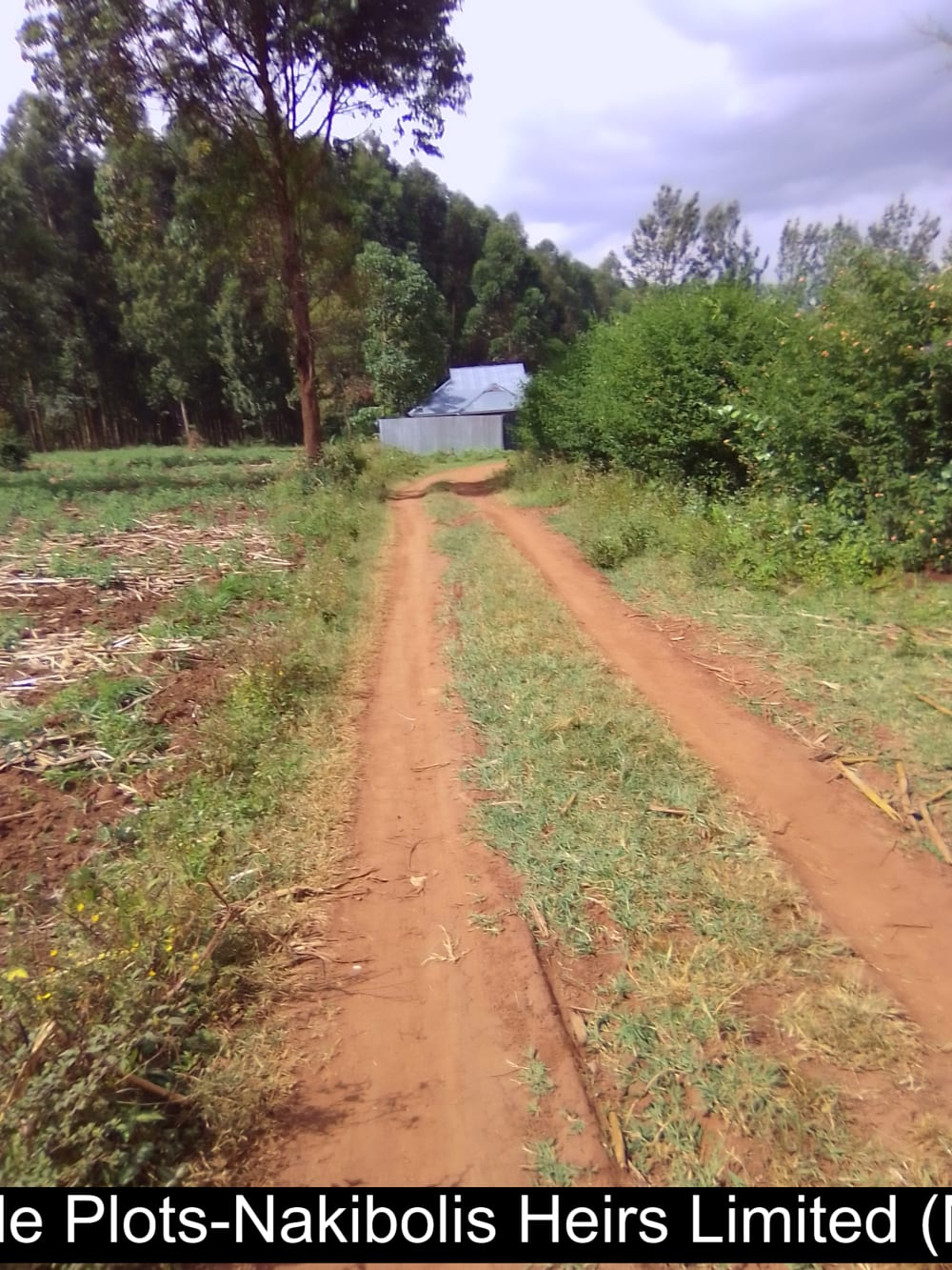 Land for sale in Kwanza