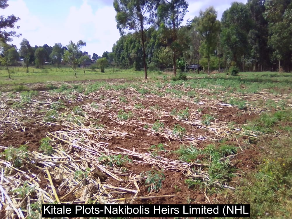 Land for sale in Kwanza