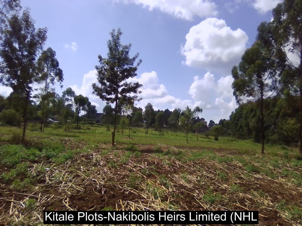 Land for sale in Kwanza