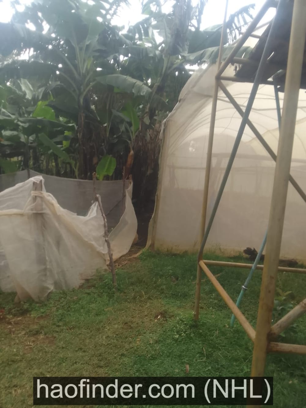 4 bedroom Land for sale in Mabanga - Kitale primary School