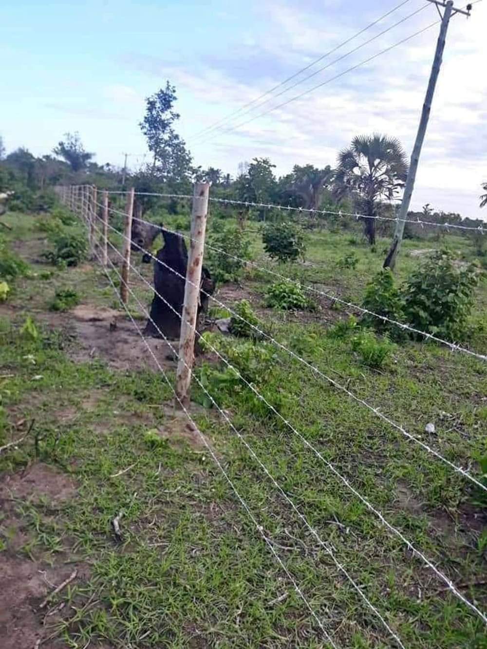 Land for sale in  Nanyuki Airstrip Side