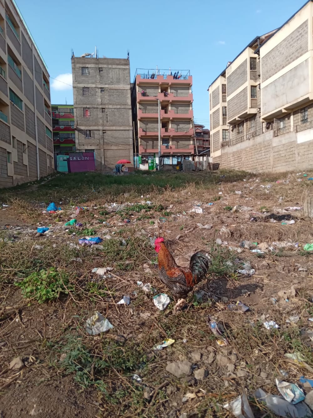 Land for sale in Wendani