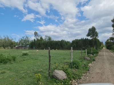 Land for sale in Grey Oak - Nanyuki