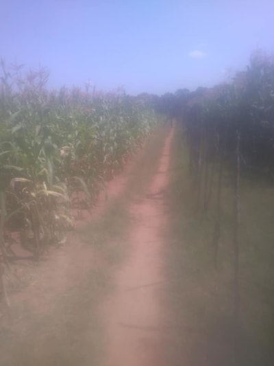 Land for sale in Toro farm, Kitale