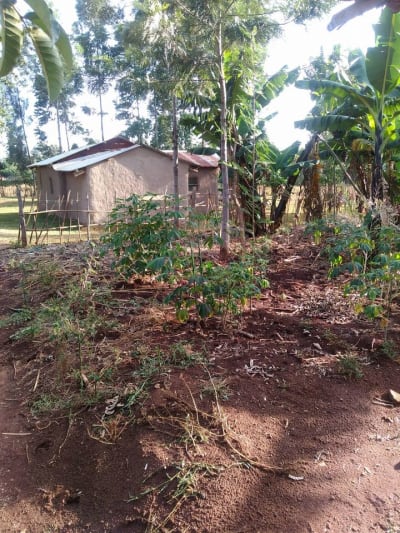 Land for sale in Kitale