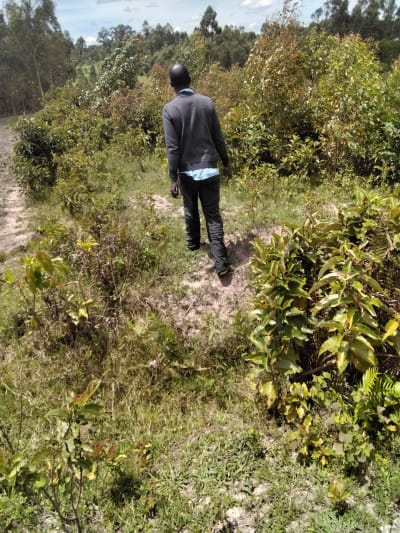 Land for sale in Bukembe, Bungoma County 