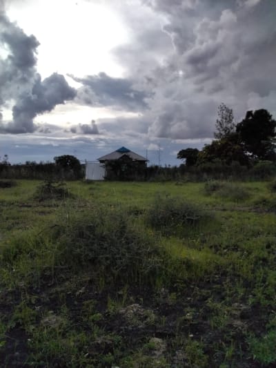 Land for sale in Juja Farm