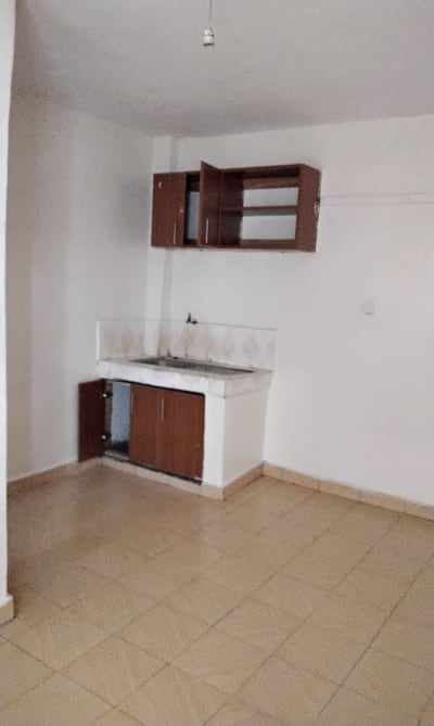 1 bedroom Apartment for rent in Ruiru