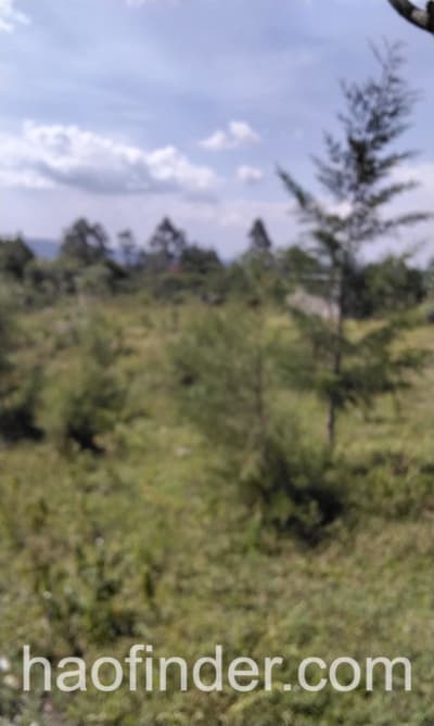 Land for sale in Bungoma