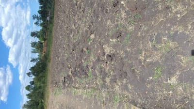 Land for sale in Kitale