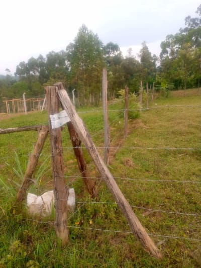 Land for sale in Shisiru - Kakamega