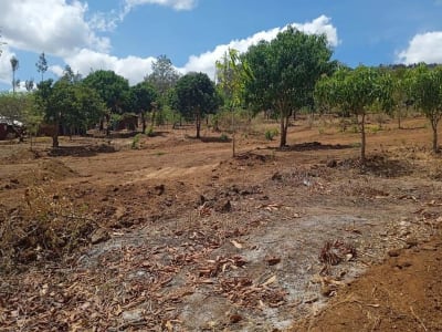 Land for sale in Makuyu close to Kakuzi