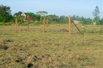 Land for sale in Salama, Thika