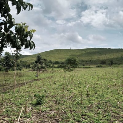 Land for sale in Ndhiwa