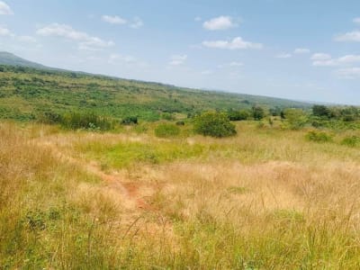 Land for sale in Ngoliba, Thika