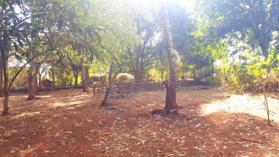 Land for sale in Tigoni