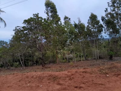 Land for sale in Kwale mtwapala