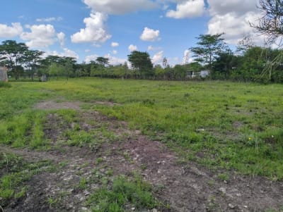 Land for sale in Juja Farm