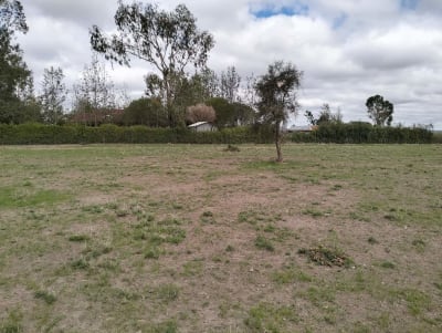 Farm for sale in Isinya