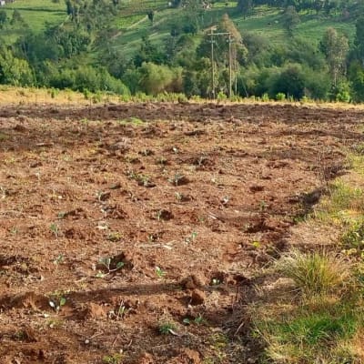Land for sale in Keiyo South