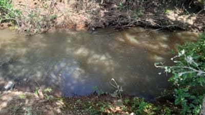 Land for sale in Nanyuki